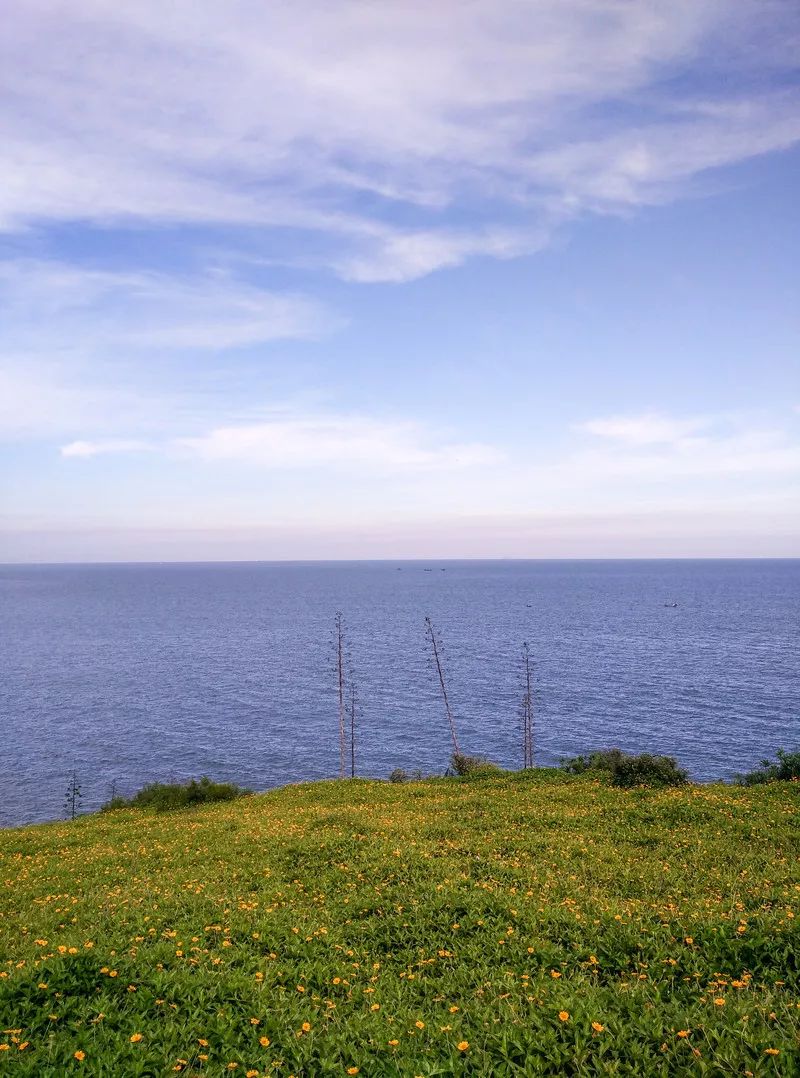 鐏北宀涙毚椋庨洦瑙嗛,鐏北宀涙毚椋庨洦