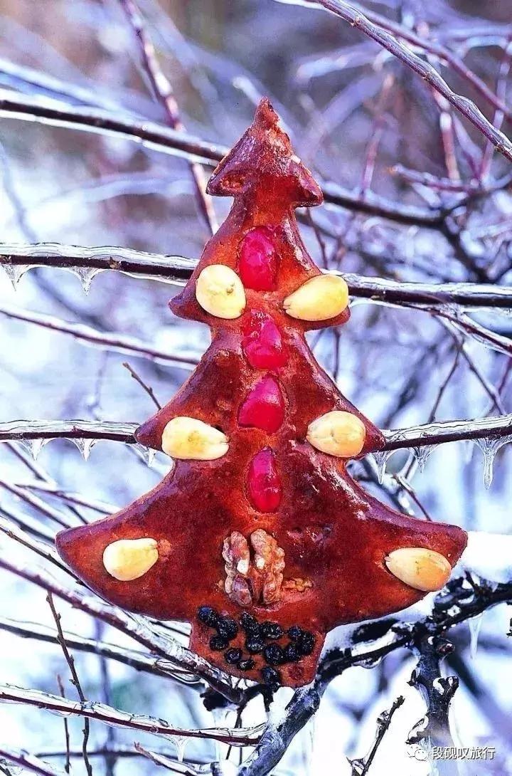 结伴趣旅行,结伴趣旅行攻略