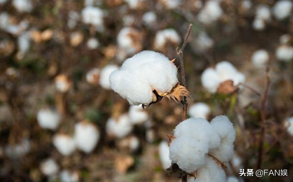 nike的哪些限量发售鞋值得抢购,nike发布新鞋怎么又被抢了