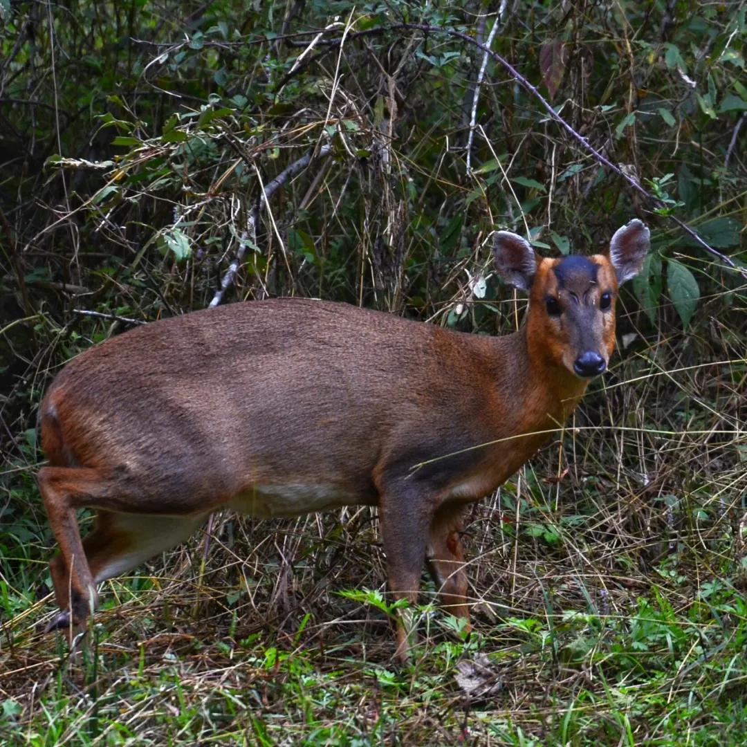 合肥融创茂宝藏秘境,合肥宝藏地