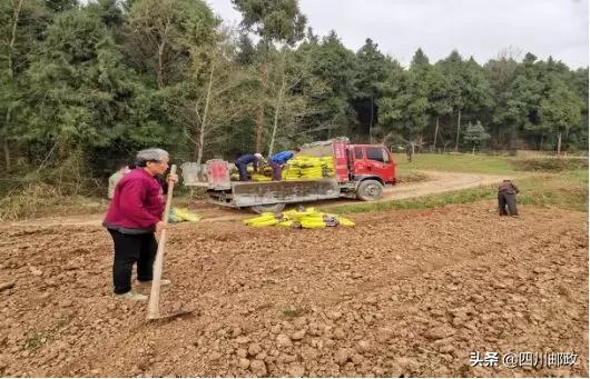 农资配送助春耕,春耕送农资精准帮扶暖人心