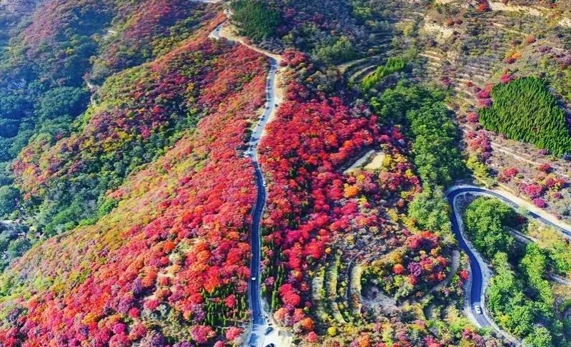 打造地方特色文旅项目,重磅打造的文旅项目
