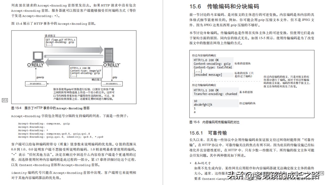 终于明白阿里美团那些大厂，为什么经常拿HTTP考验求职者了