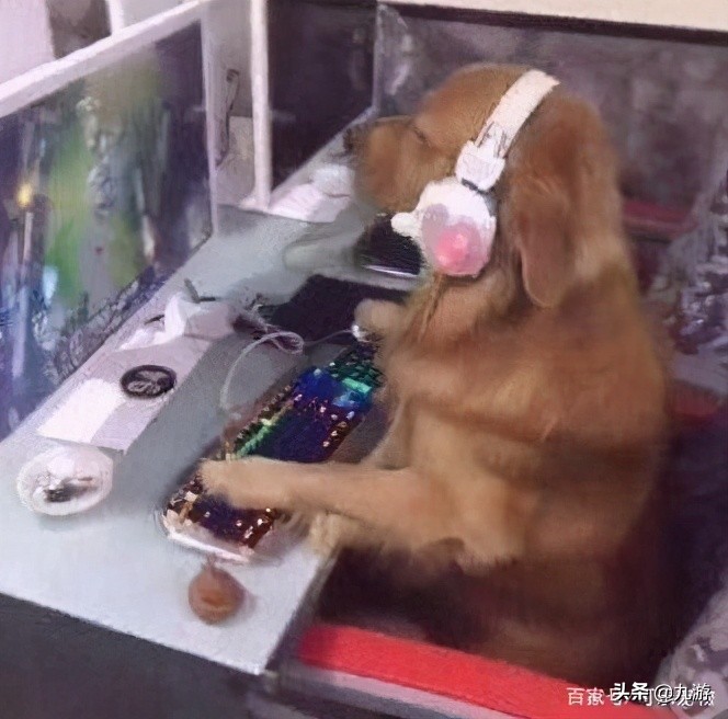 从《尼尔:伪装者1.22》发售,说说那上不了架的《心罪爱丽丝》