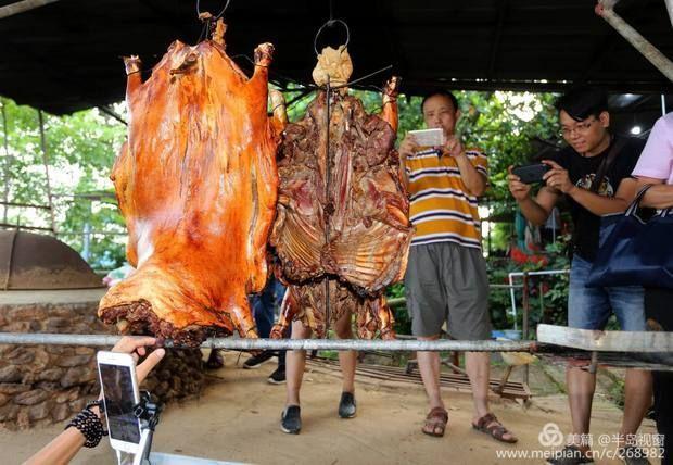 文蕴秀岭，馨怡乐园｜廉江文秀岭农牧场散记