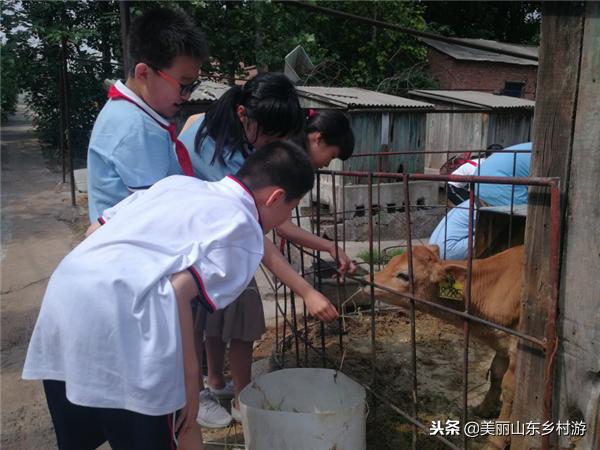 研学游第二十三期：济南佳宝，发现“老味道”的前世今生