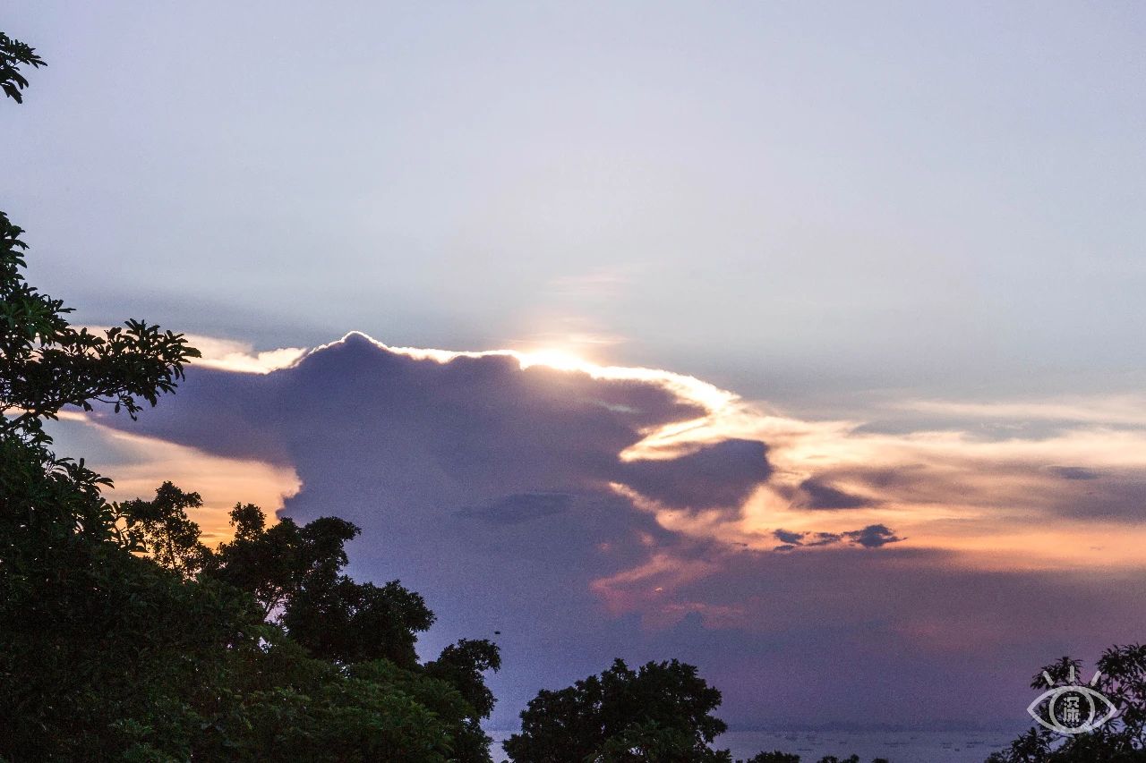 2021深圳免费适合遛娃玩地方排名,深圳免费游玩景点推荐