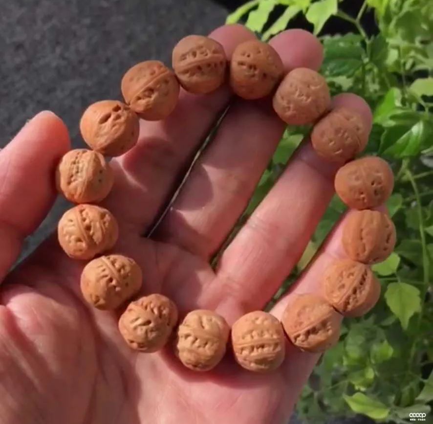 小核桃手串有黄还值得玩吗,为什么玩小核桃手串的少