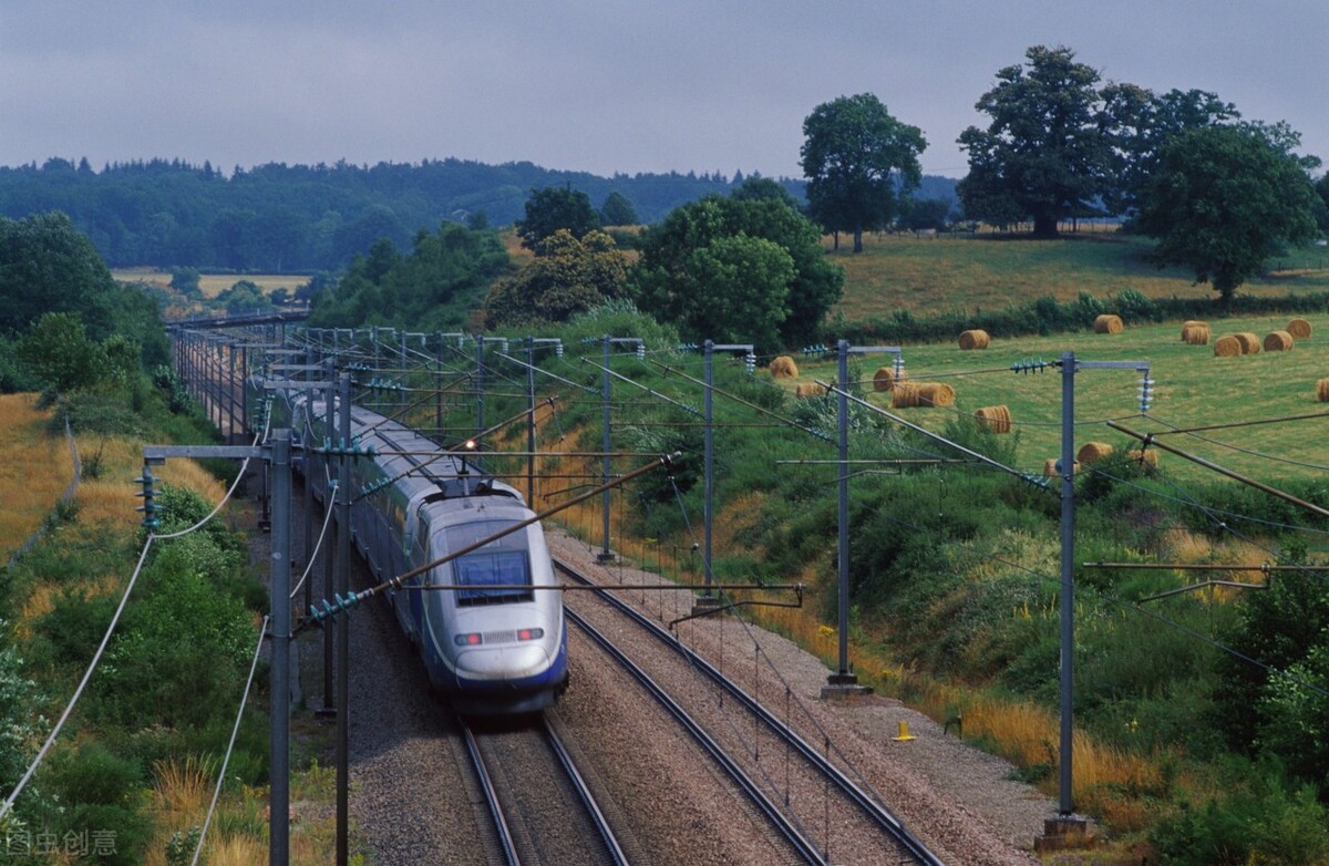 有机蔬菜比普通蔬菜贵多少,自己种的纯天然无公害的有机蔬菜