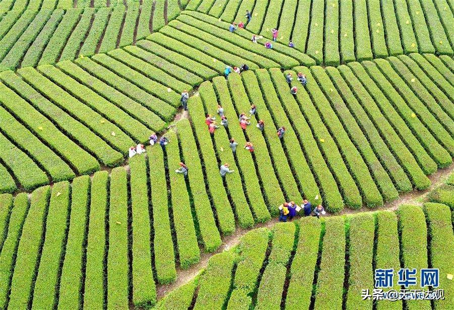 走遍中国唱响美丽乡村主旋律,走遍宣恩