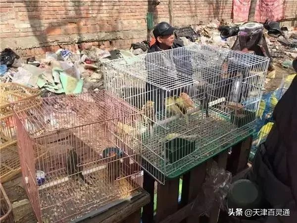 天津的早市儿有哪些,津沽最好的早市