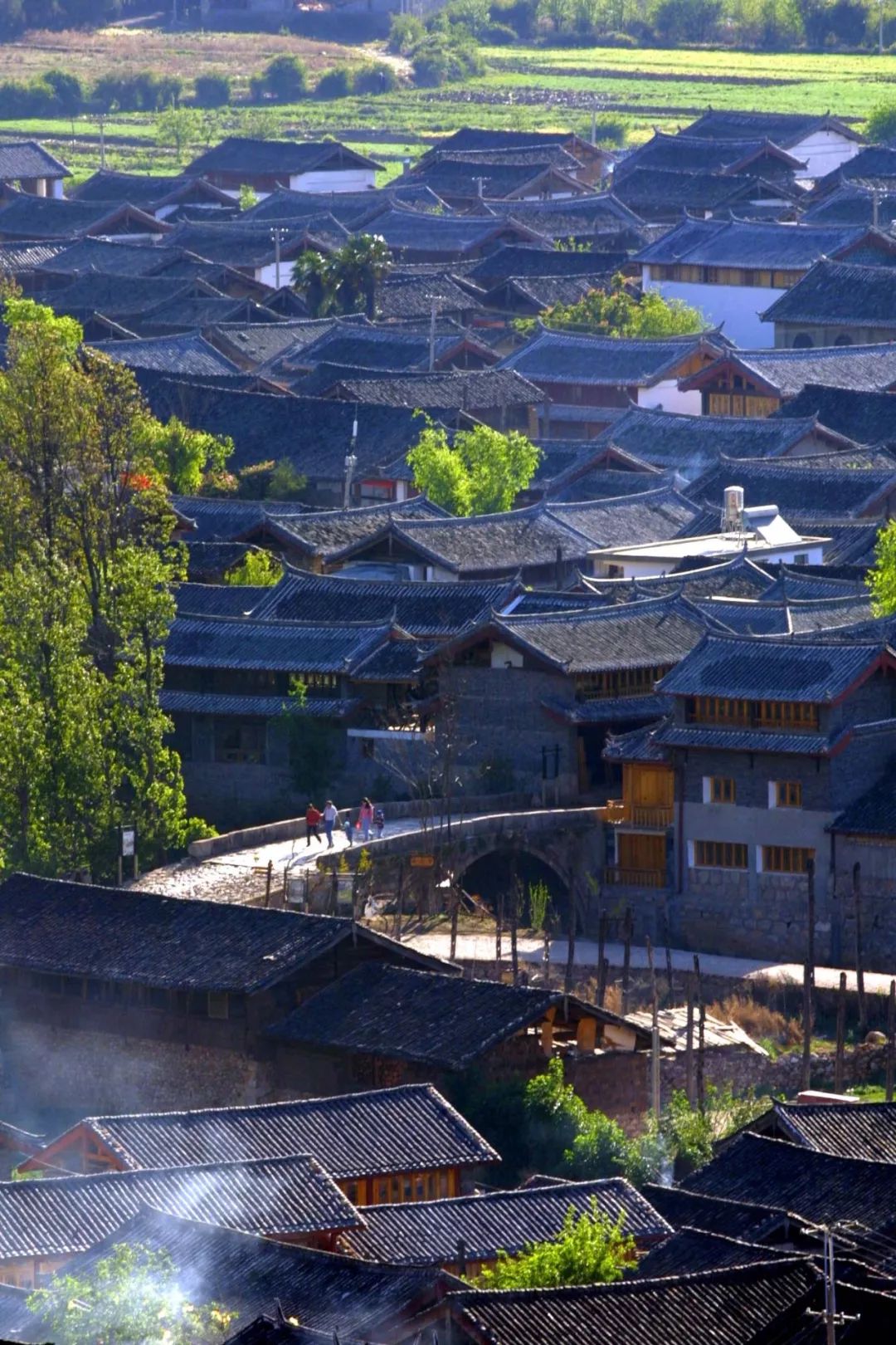 收好这份云南最新5a景区名单,云南的5a级景区有哪些