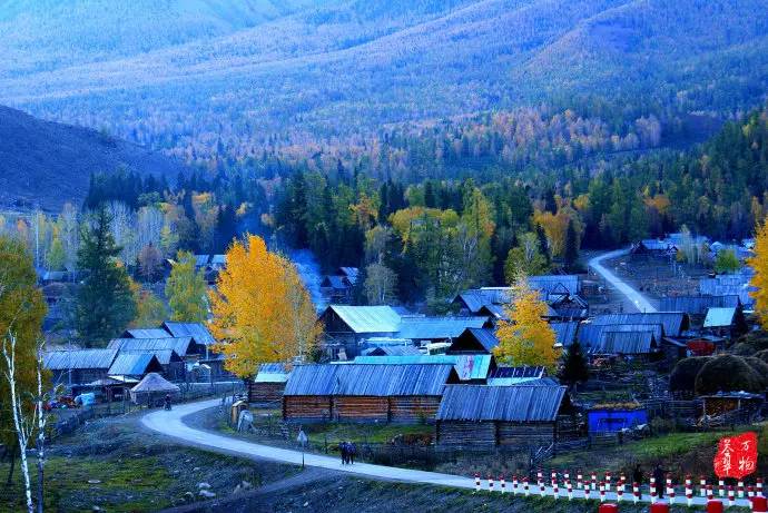 中国鸡尾,中国鸡尾巴