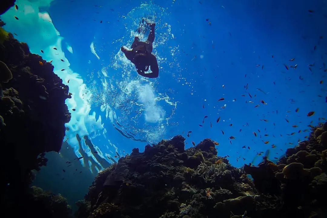 被困菲律宾的第90天,被困菲律宾海岛