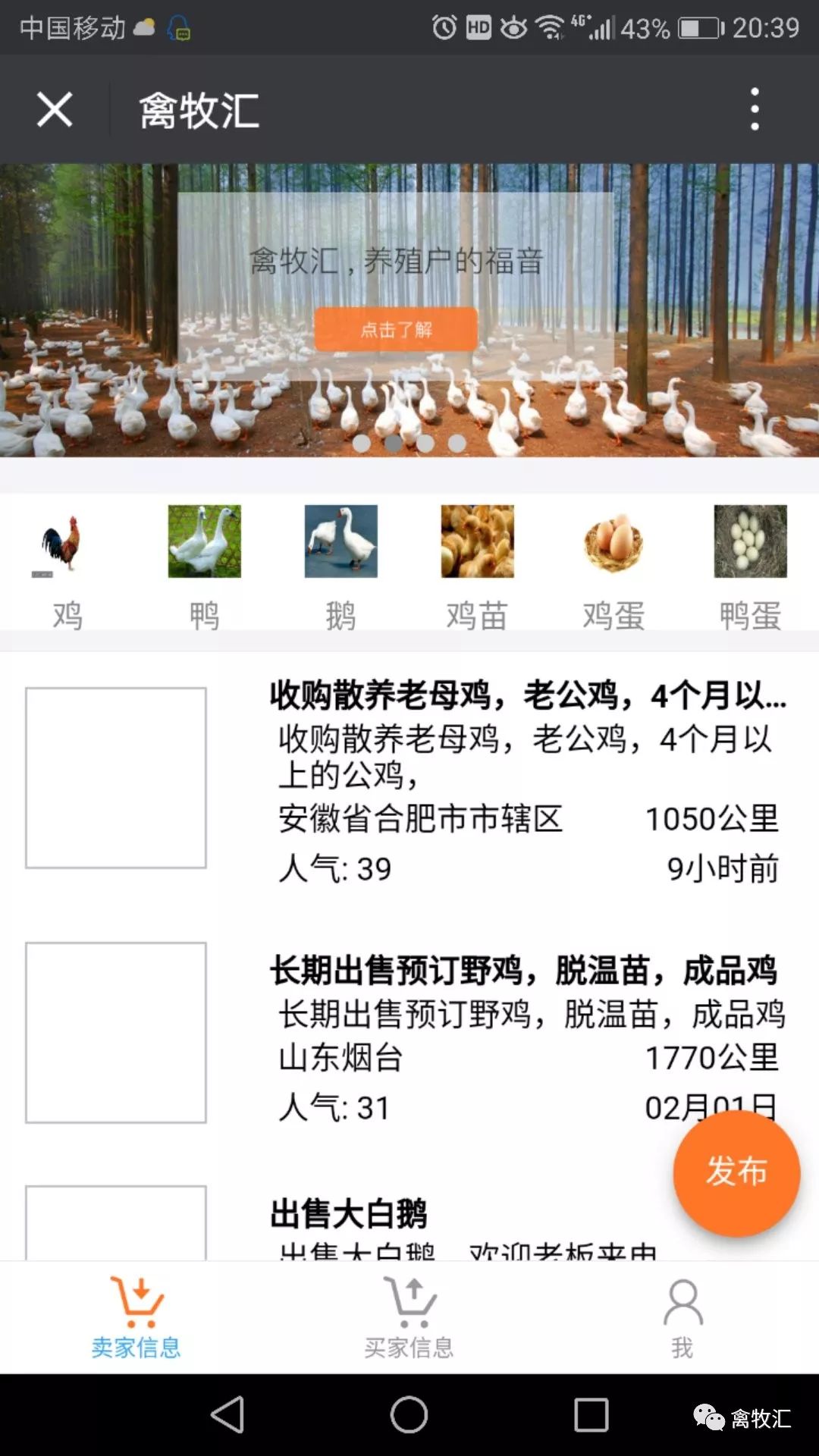 养了好多鸡不知道销路,养的鸡卖不出去怎么办