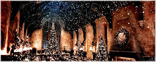 是时候把圣诞老人的礼物送给你们了