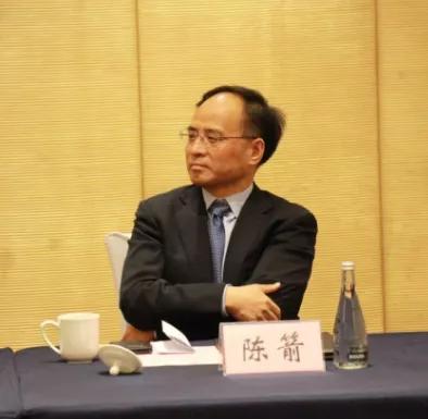 半山半岛破产重整投资人,三亚半山半岛王永红