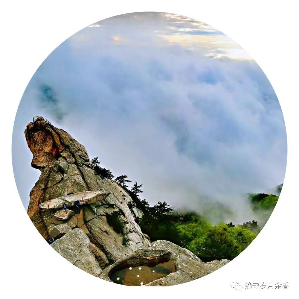 情满龟峰·诗涌花海