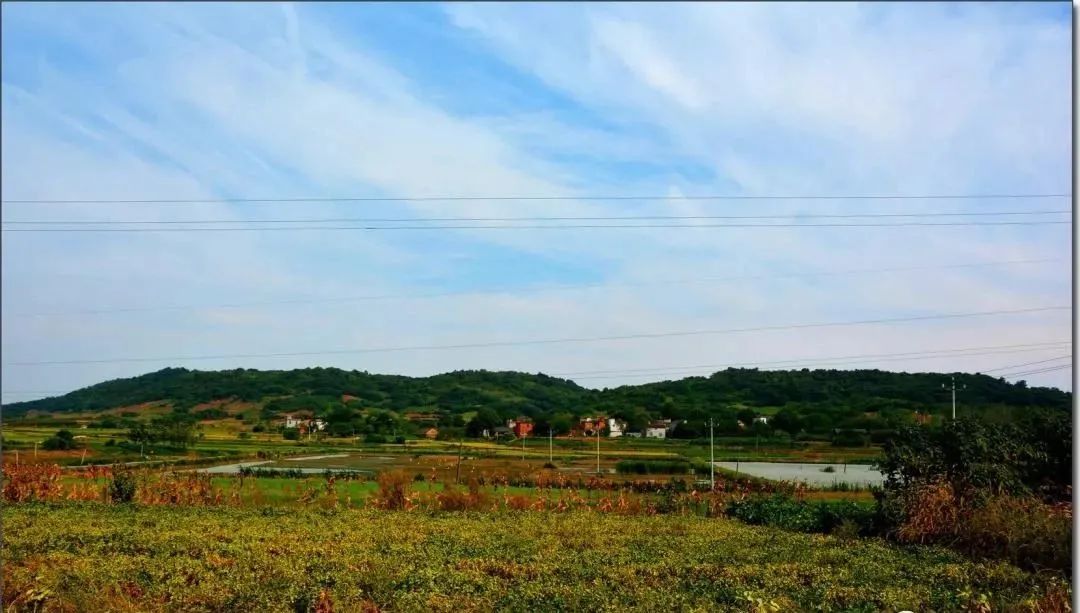 仙人洞风景区,仙人洞龙虎泉