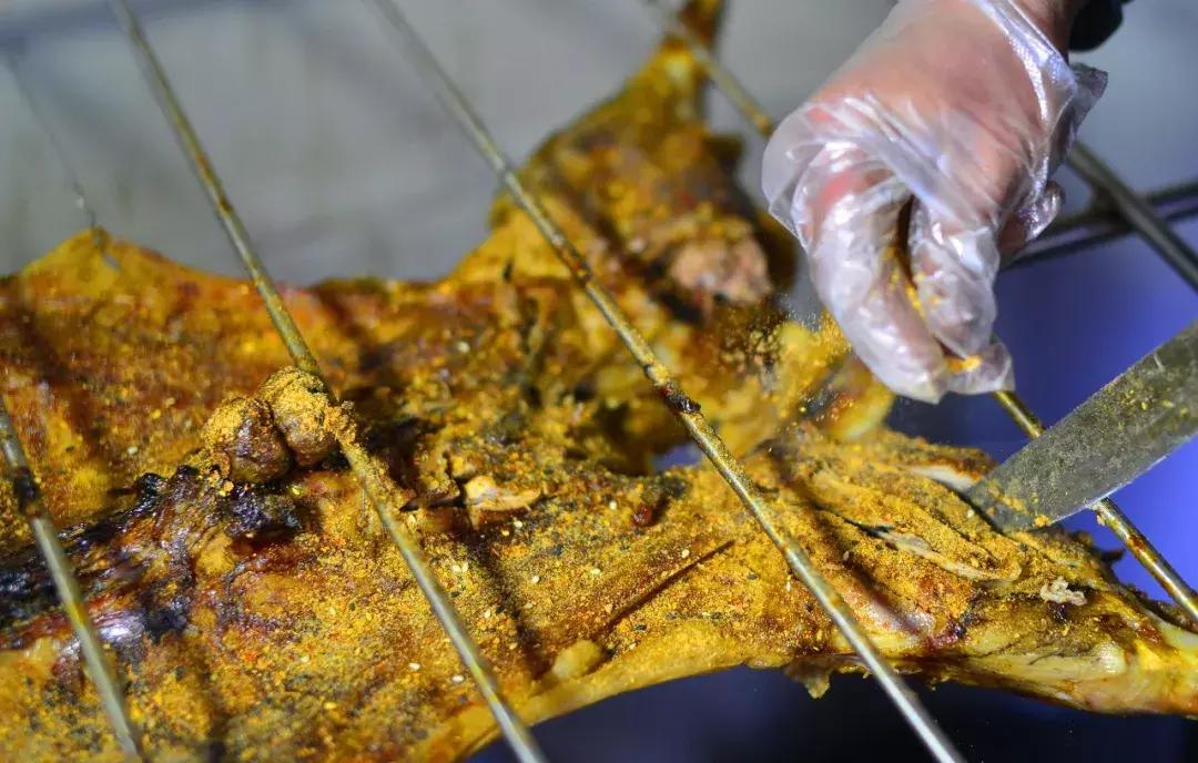 银川一个不一样的西北城市,宁夏银川大西北