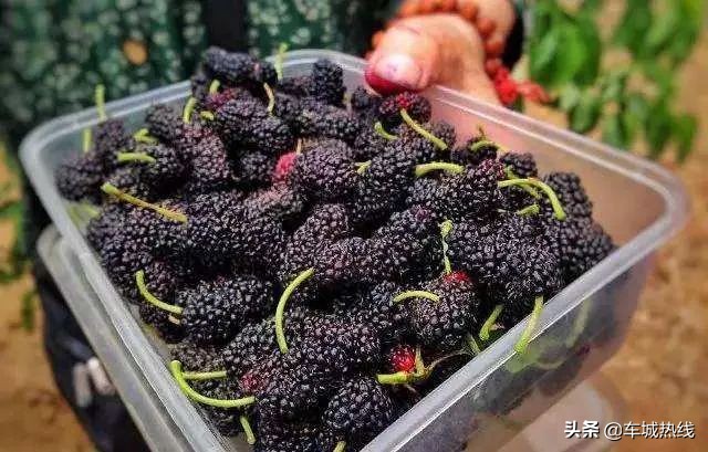 十堰市坐公交车最新要求,今天十堰公交202出行情况