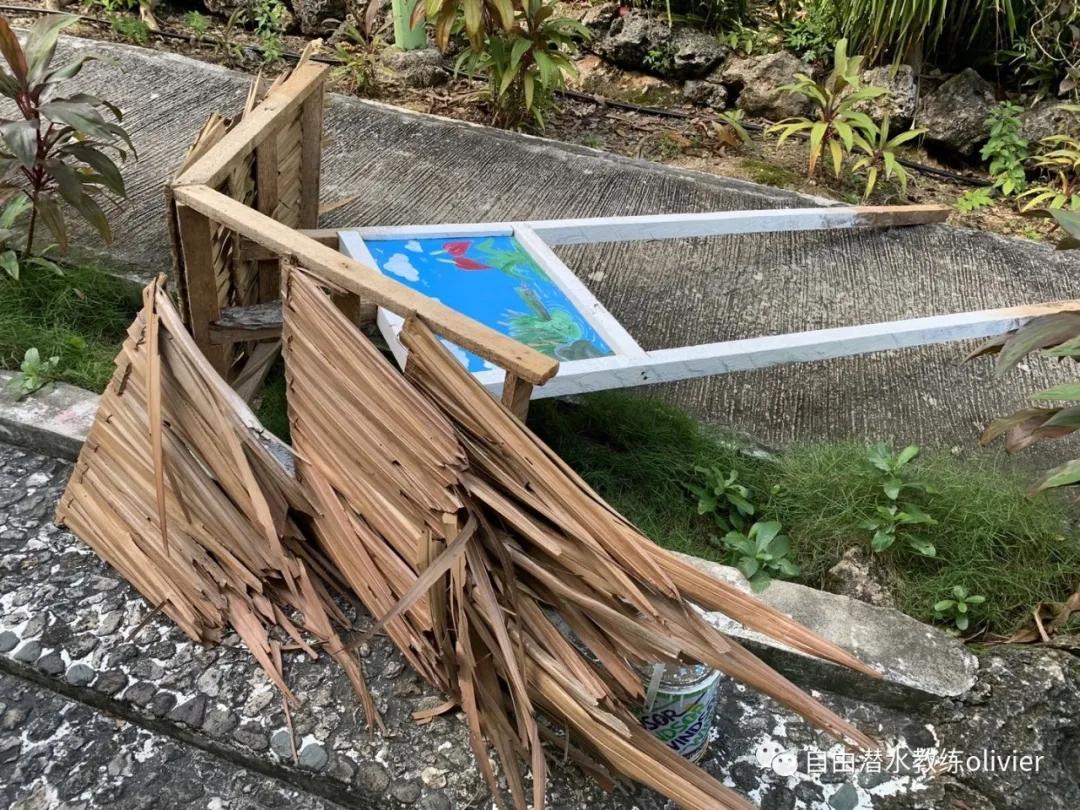 海岛拾荒日记之三十一