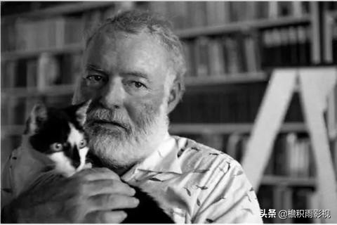 长江7号外星人叫什么,长江七号和疯狂的外星人哪个好