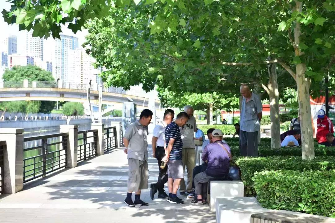 庆丰公园里,原来藏着一个“武林江湖”