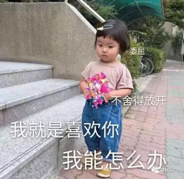 八月超值福利,八月全部礼包