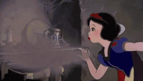 白蛋与蛋白质粉的区别在哪里,全蛋粉蛋黄粉蛋清粉到底有啥区别