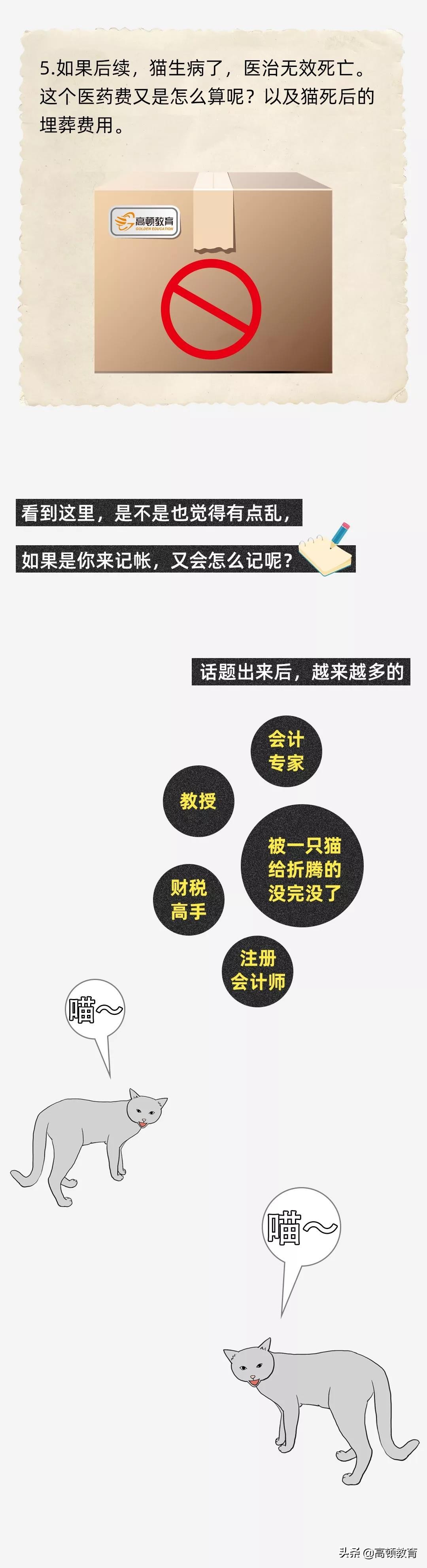 公司买个猫怎么处理,公司买的猫怎么入账