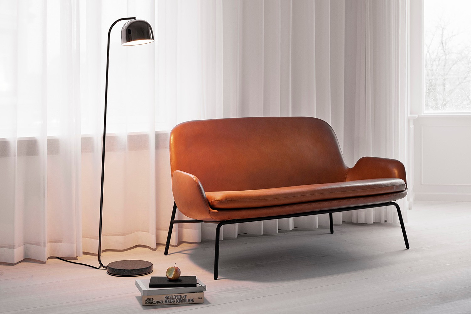 鍖楁缇庡瀹跺眳璁捐,鍥藉瀹跺眳缇庡