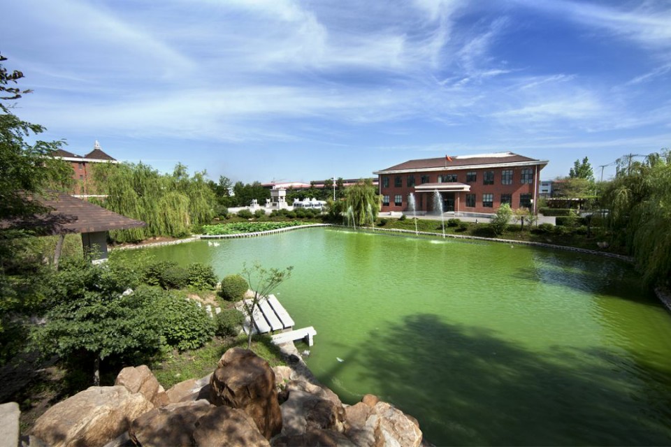 沈阳市梦宝床垫,梦宝床垫评测