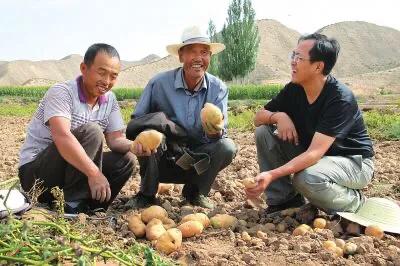 上海会战南京会战,常德会战衡阳会战