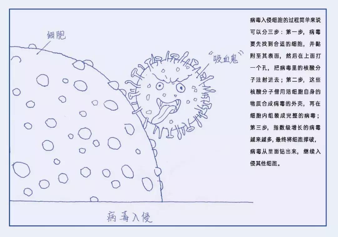 为什么剖腹产宝宝一出生就输在肠道微生物的起跑线上