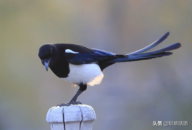 心理测试你的勾魂指数,心理测试你第一眼看什么数字