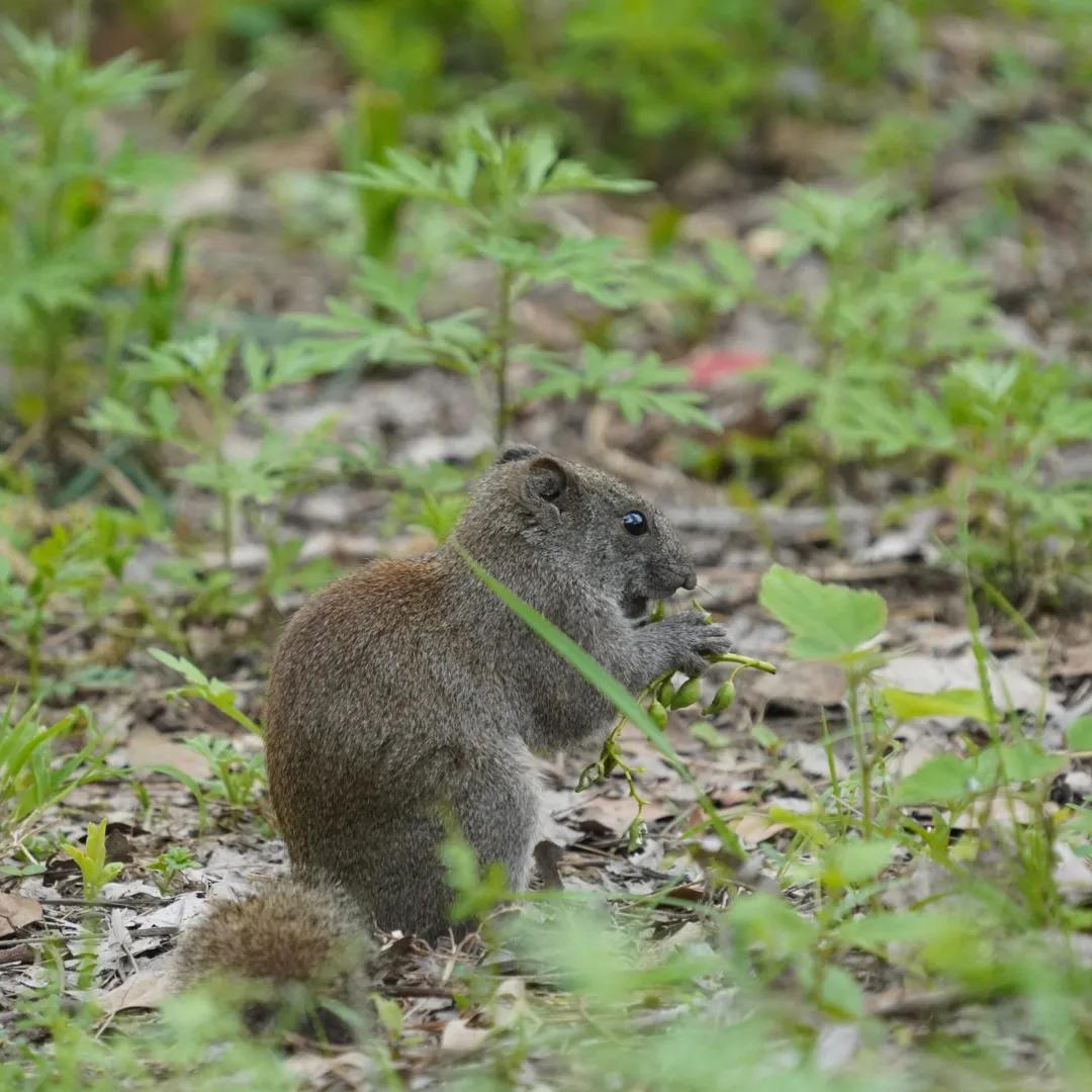 合肥融创茂宝藏秘境,合肥宝藏地