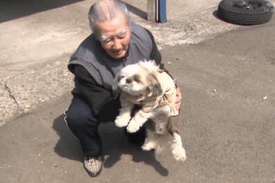 给狗喂吃的会咬你手吗,给狗喂饭要咬到手吗