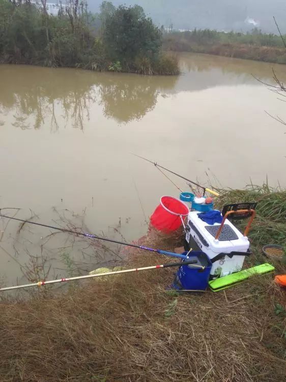 本汀神鹤和太极宗师,本汀神鹤鲫鱼竿