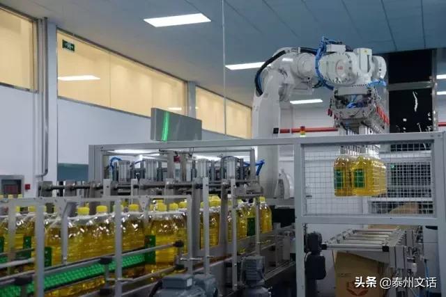 汇福粮油食品加工产业基地项目,汇福粮油集团董事长泰州