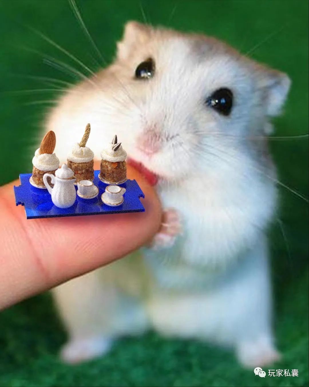 gentlemonster鐪奸暅鍝佺墝,gentlemonster鍝佺墝鐪奸暅鎺ㄨ崘