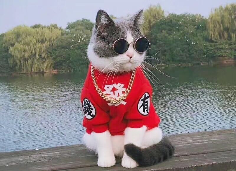 欧阳佩珊近况,欧阳佩珊反贪风暴