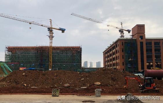 长沙市明德望城中学,望城明德美琪学校咋样