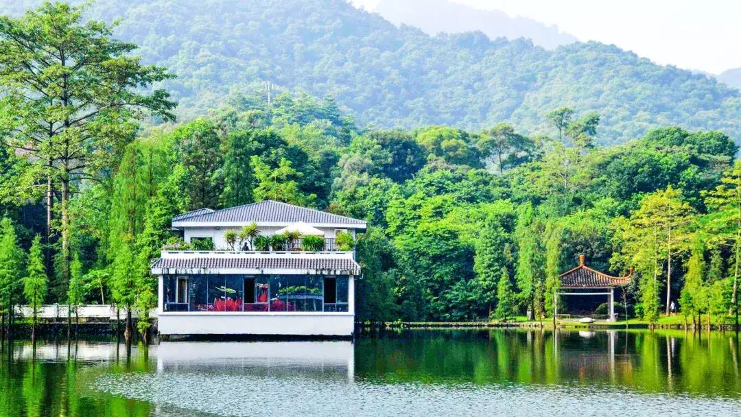 白云山打卡转场,广州白云山爬山攻略怎么预约