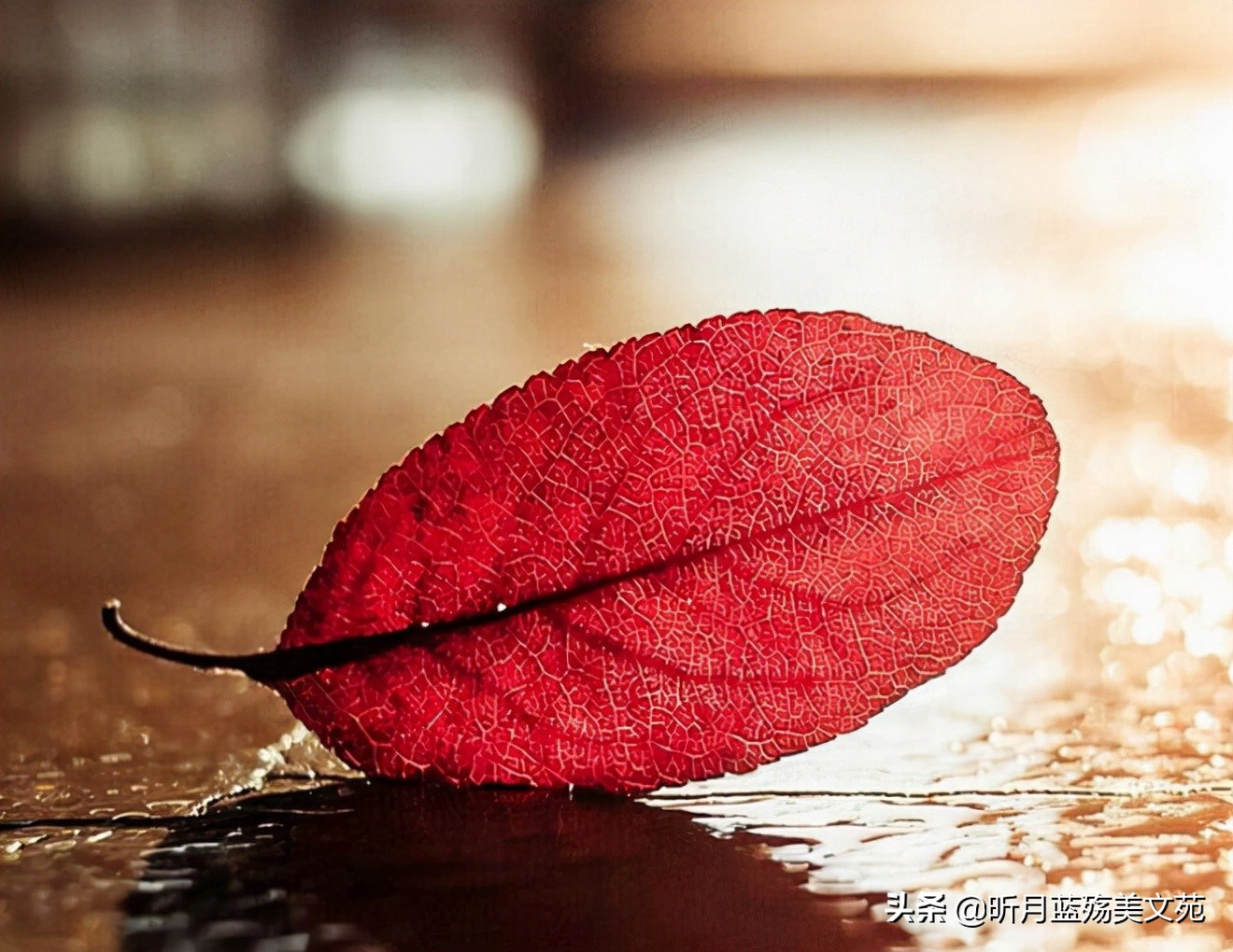 真爱难忘记，我牵挂你一生