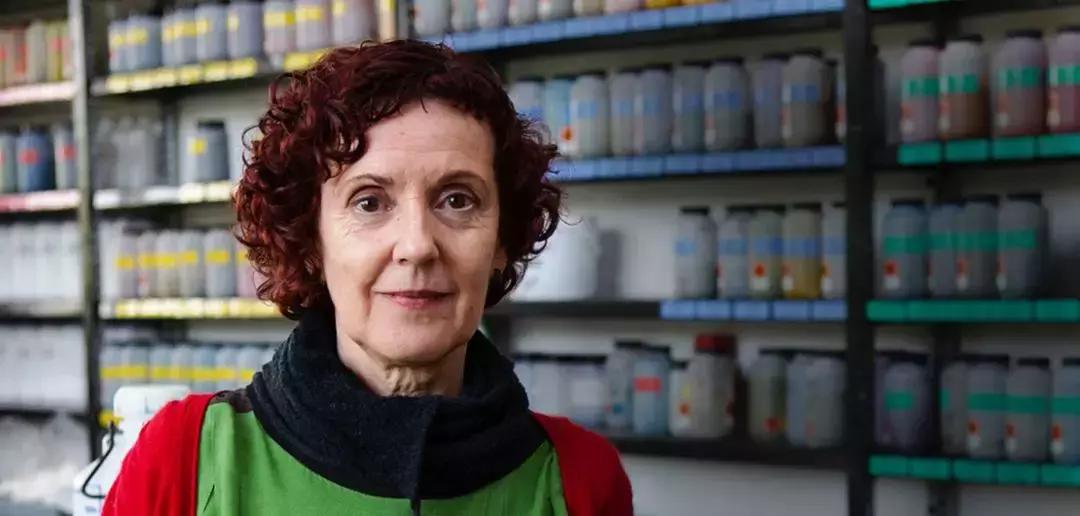 社创案例|取代皮革,菠萝叶也时尚