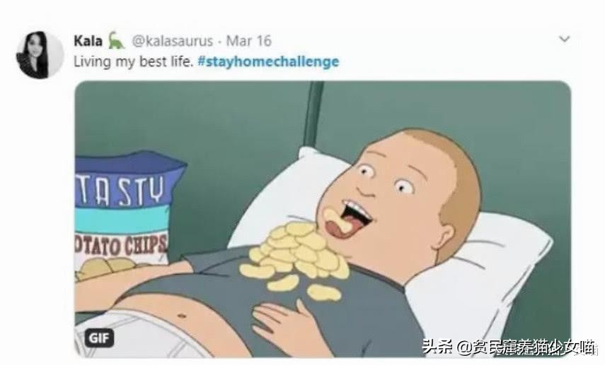 拼图引来喵星人,猫:这些花花绿绿的小方块,我也要玩