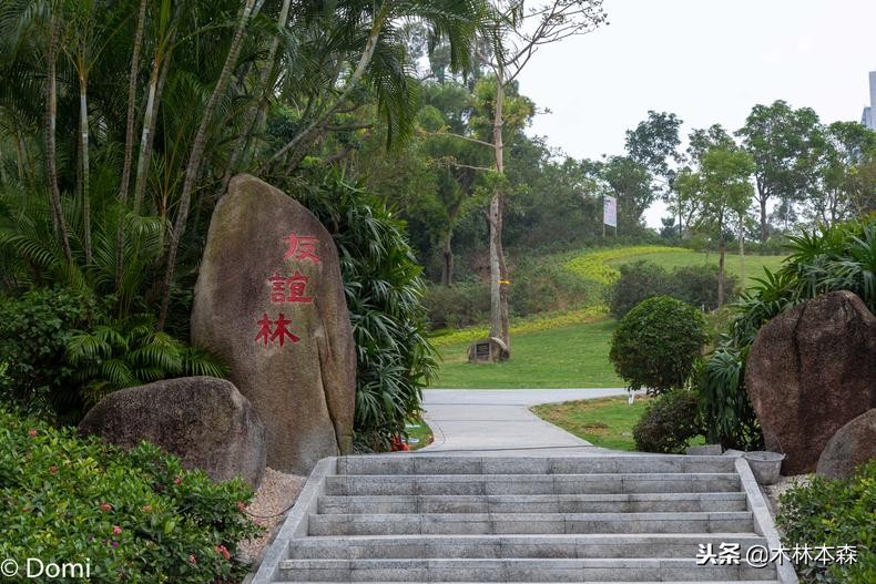 珠海两天一夜旅游景点,珠海港珠澳大桥观光一日游