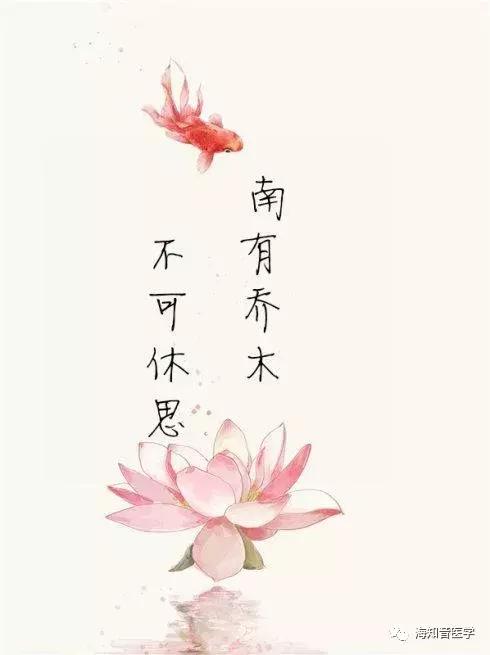 南有乔木不可休思的对偶句,南有乔木不可休思的思是什么意思