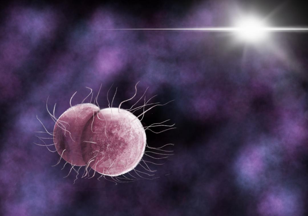 生命的故事绘本电子版,生命的故事图片